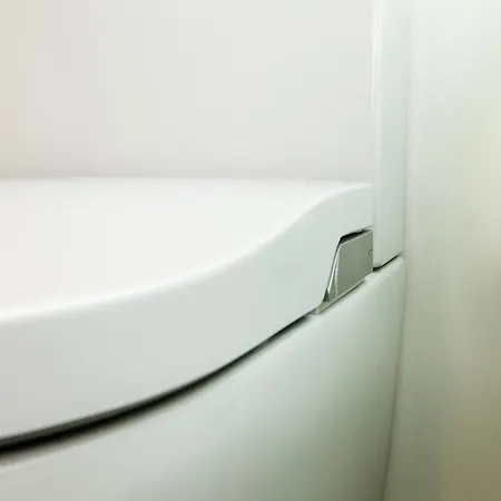 - Japonesa & * Viseu