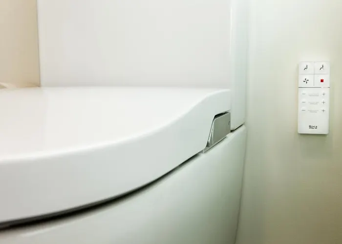 - Japonesa & * Визеу